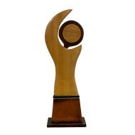 WTBT Award (8" x 13") 